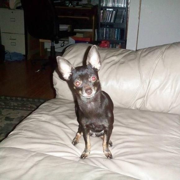 Meet your Posher, Kristel - Picture 1 of 1